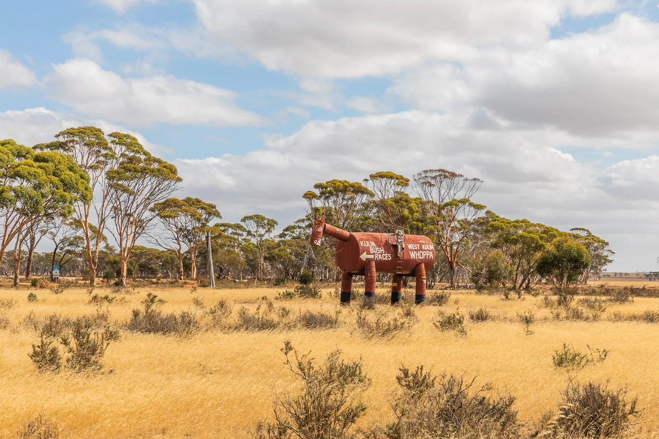 kulin-bush-races-09.jpg
