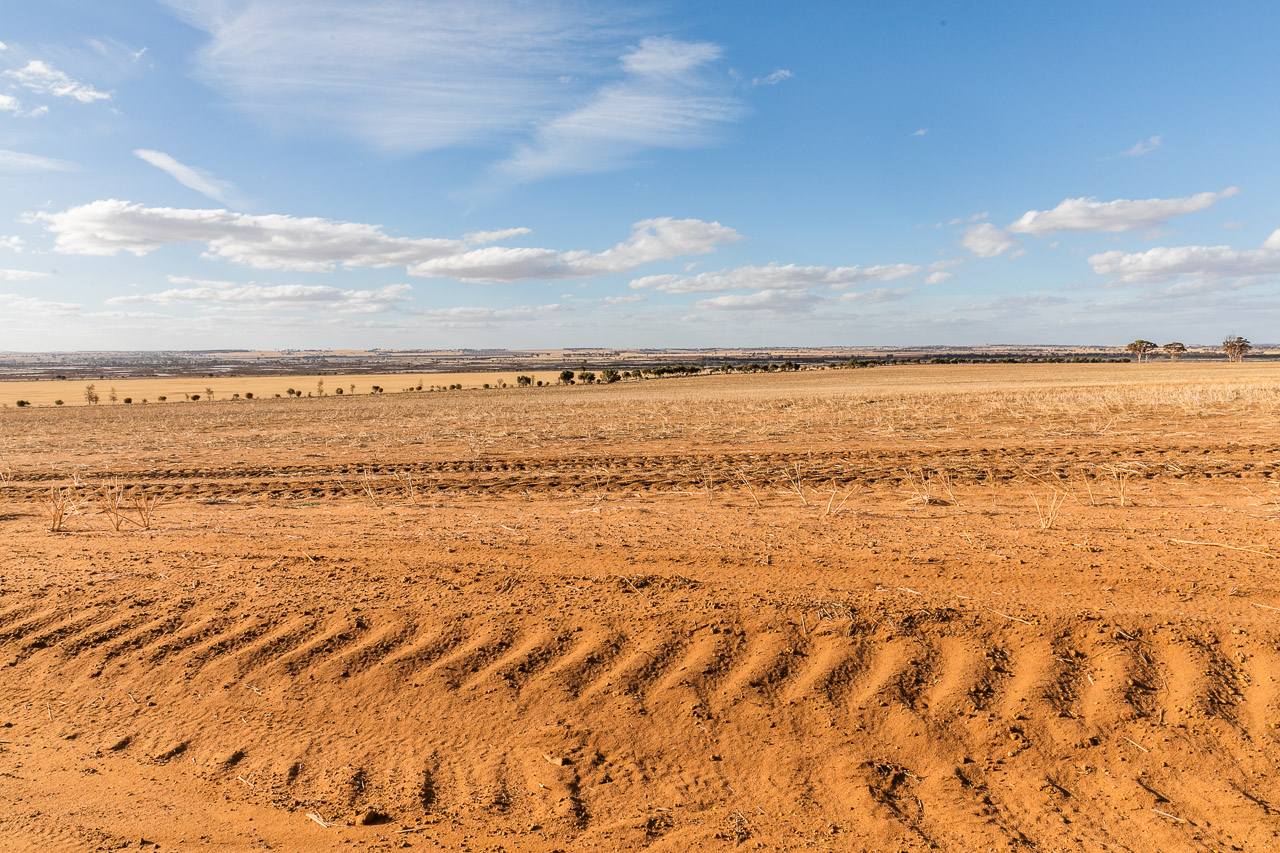 Stubble in the wheatbelt, Bruce Rock