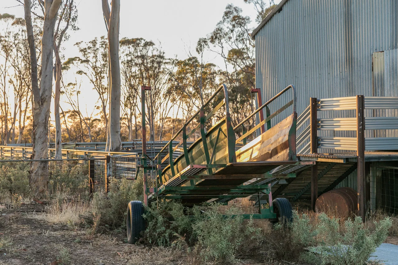 Bruce-Rock-wheatbelt-21.jpg