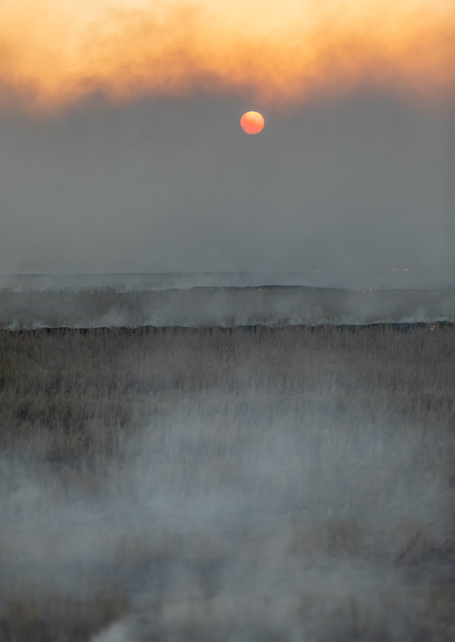 Windrow burning at sunset in Bruce Rock, WA