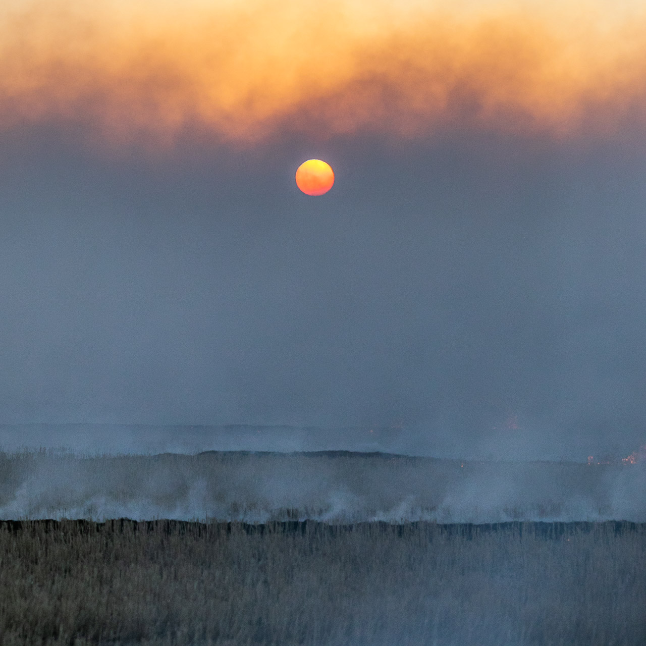 The setting sun, smoke, fire and haze during Windrow Burning in the Wheatbelt, Western Australia
