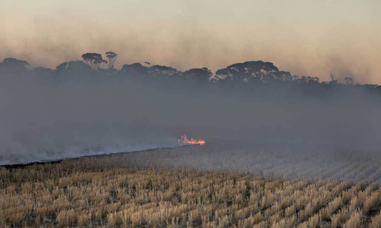 Fire, smoke and grain stubble while Windrow Burning in the Wheatbelt