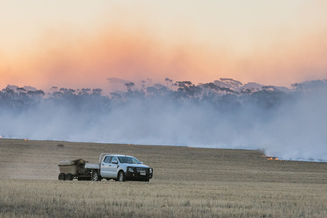 The fires are set by the farmer in his ute for Windrow Burning in WA's wheatbelt region