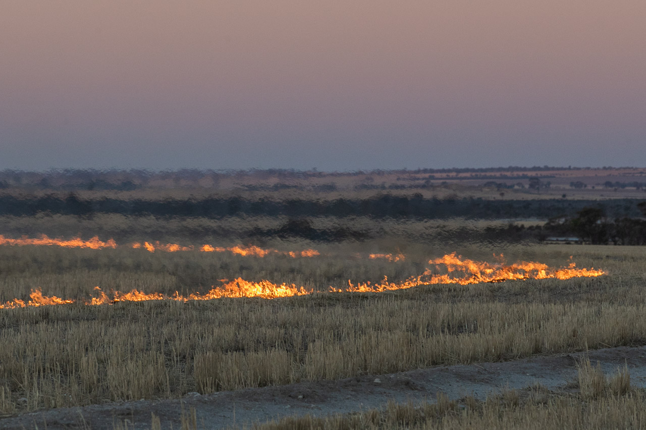 The heat haze, smoke and fire during windrow burning in Autumn in the Wheatbelt, before seeding begins