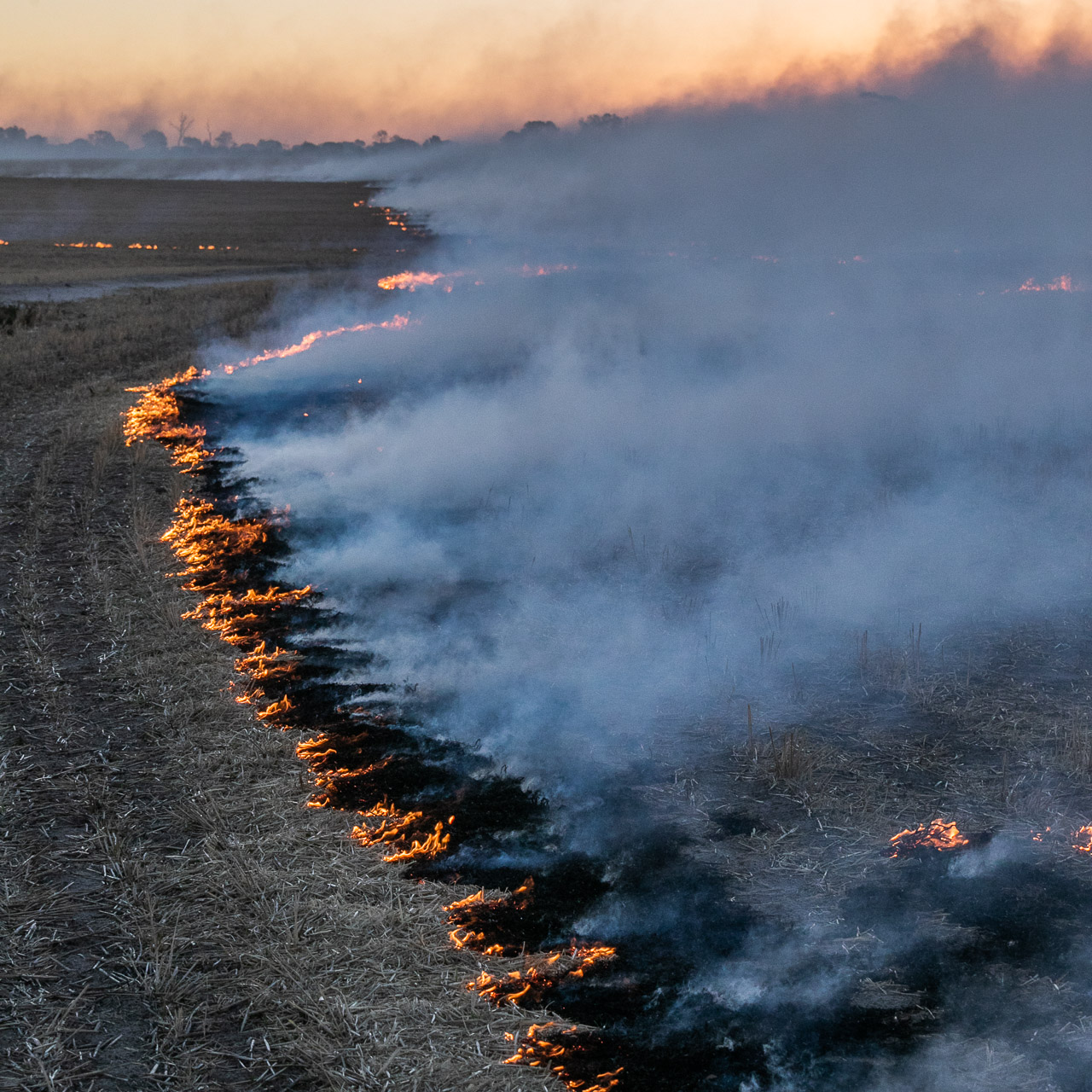 Smoke and fire at sunset during windrow burning in the Wheatbelt