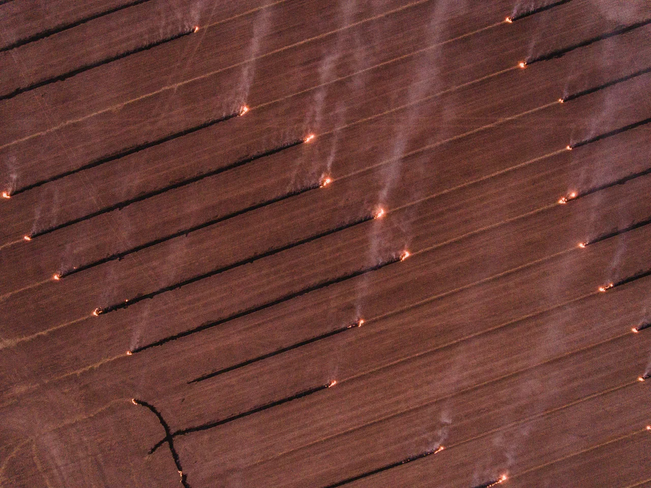 Aerial drone image in the wheatbelt region of WA