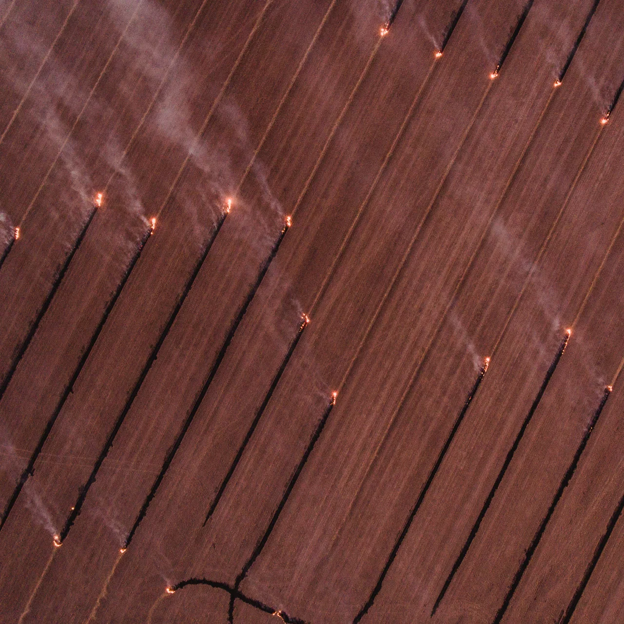 Aerial drone photo of windrow burning in the Wheatbelt
