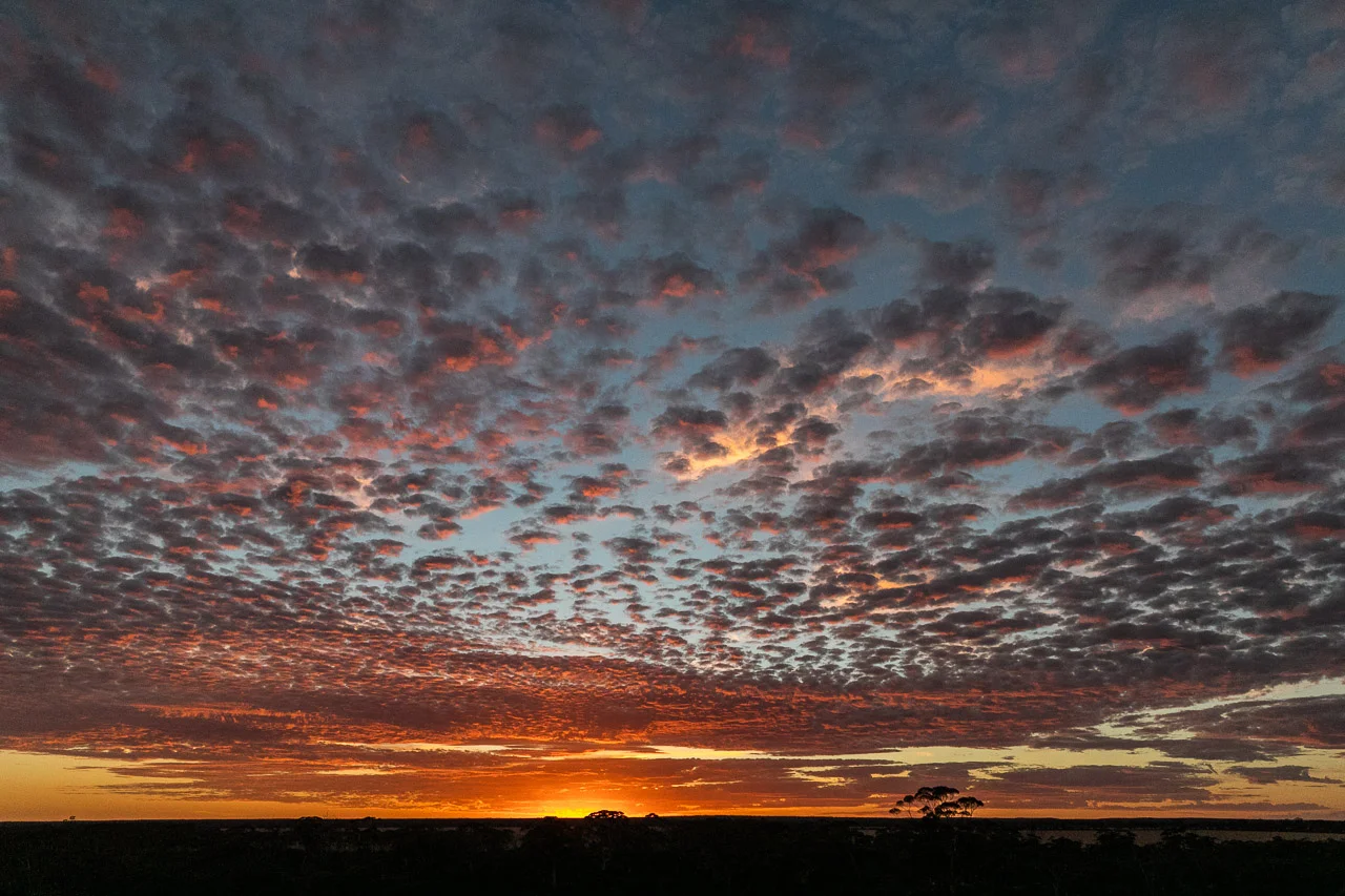 Sunrise in the wheatbelt