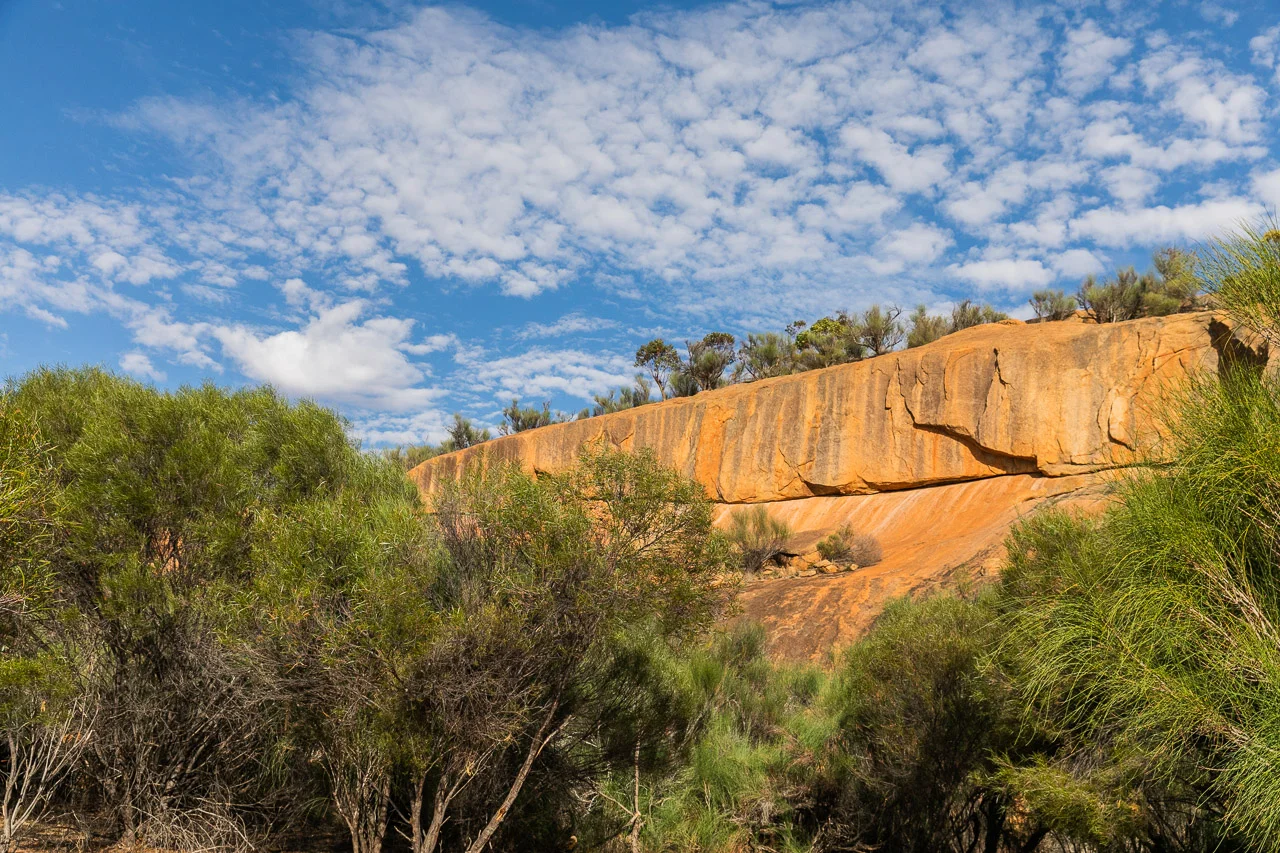 Elachbutting-Rock-Mukinbudin-14.jpg