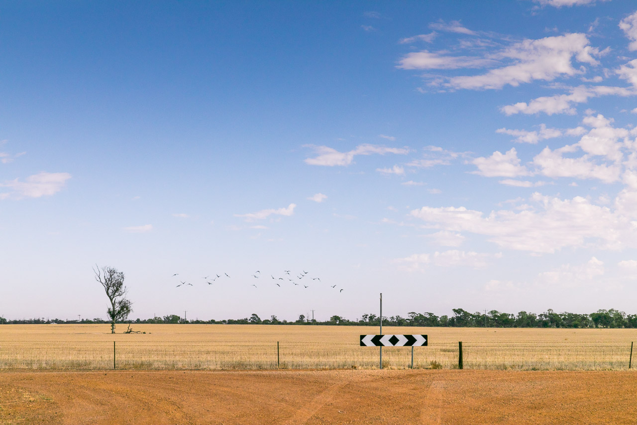 Simple, clean landscapes in the Wheatbelt region of Western Australia
