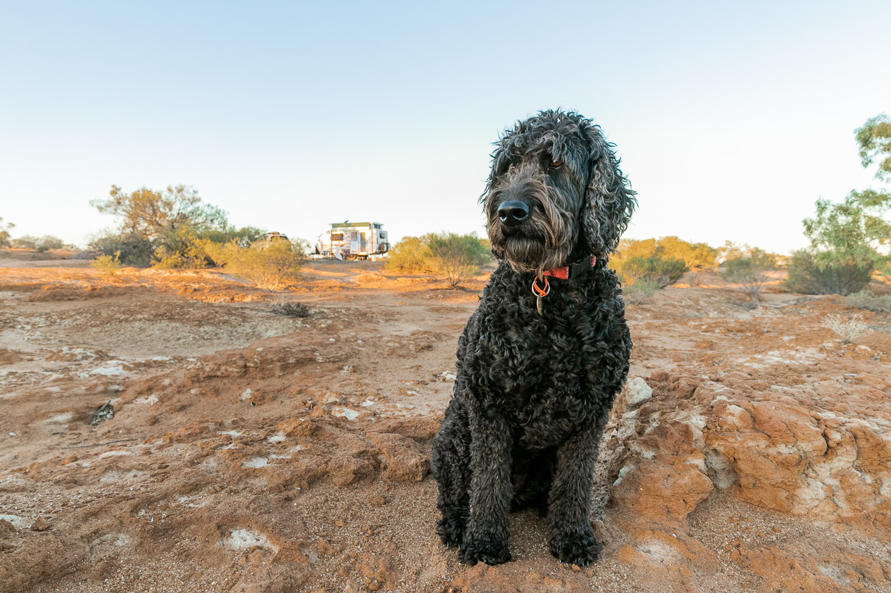 Wooleen-Station-Frances-David-Pollock-03.jpg