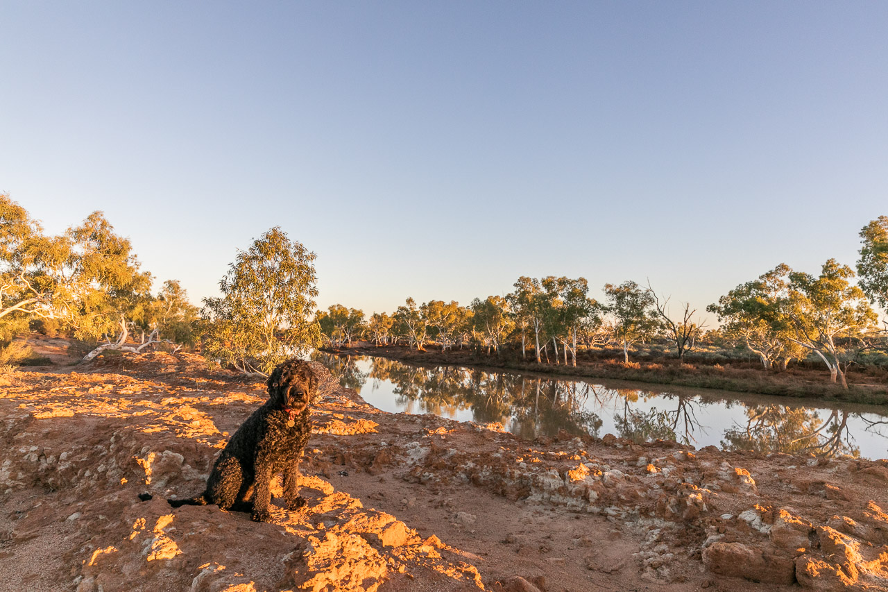 Wooleen-Station-Frances-David-Pollock-04.jpg