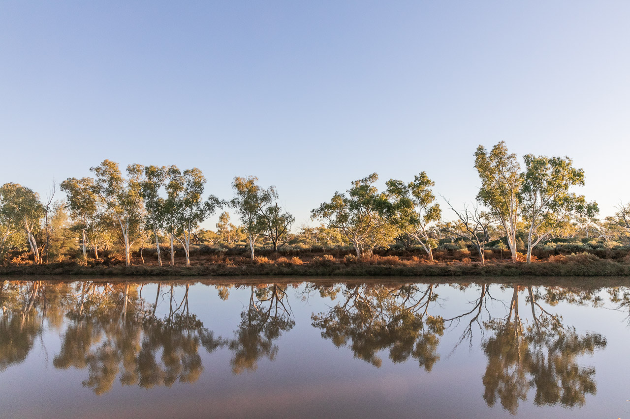 Reflections of river gums in the Murchison River