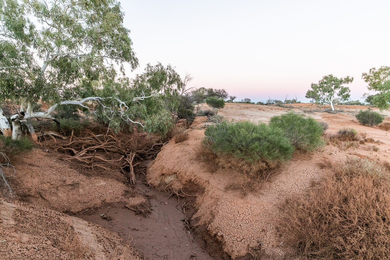 The gully and mud from the run off after recent rains at Wooleen Station in the Murchison region of Western Australia