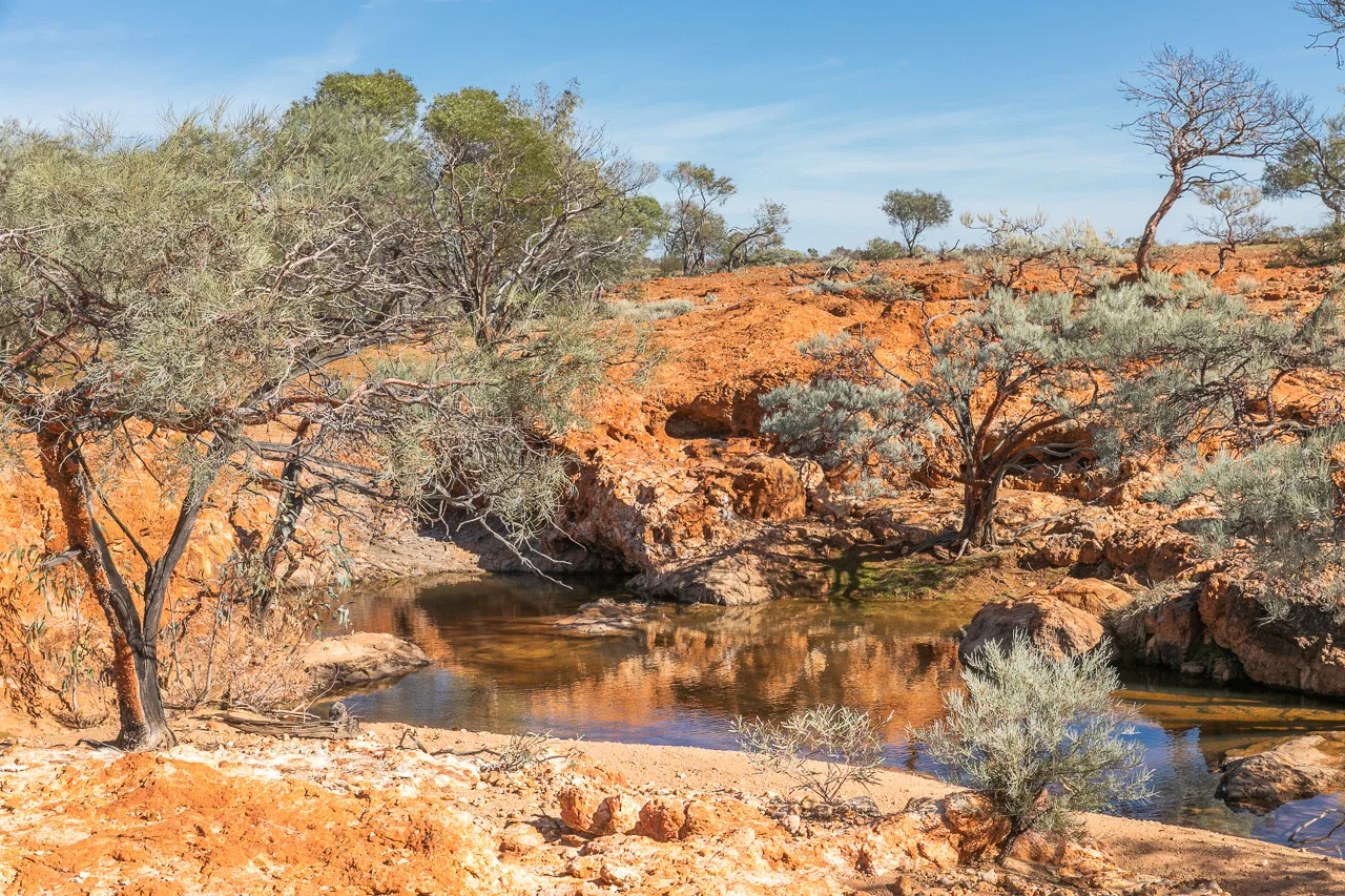 Just when you feel like there’s no water for miles, you stumble across a fresh waterholes at Carey Station