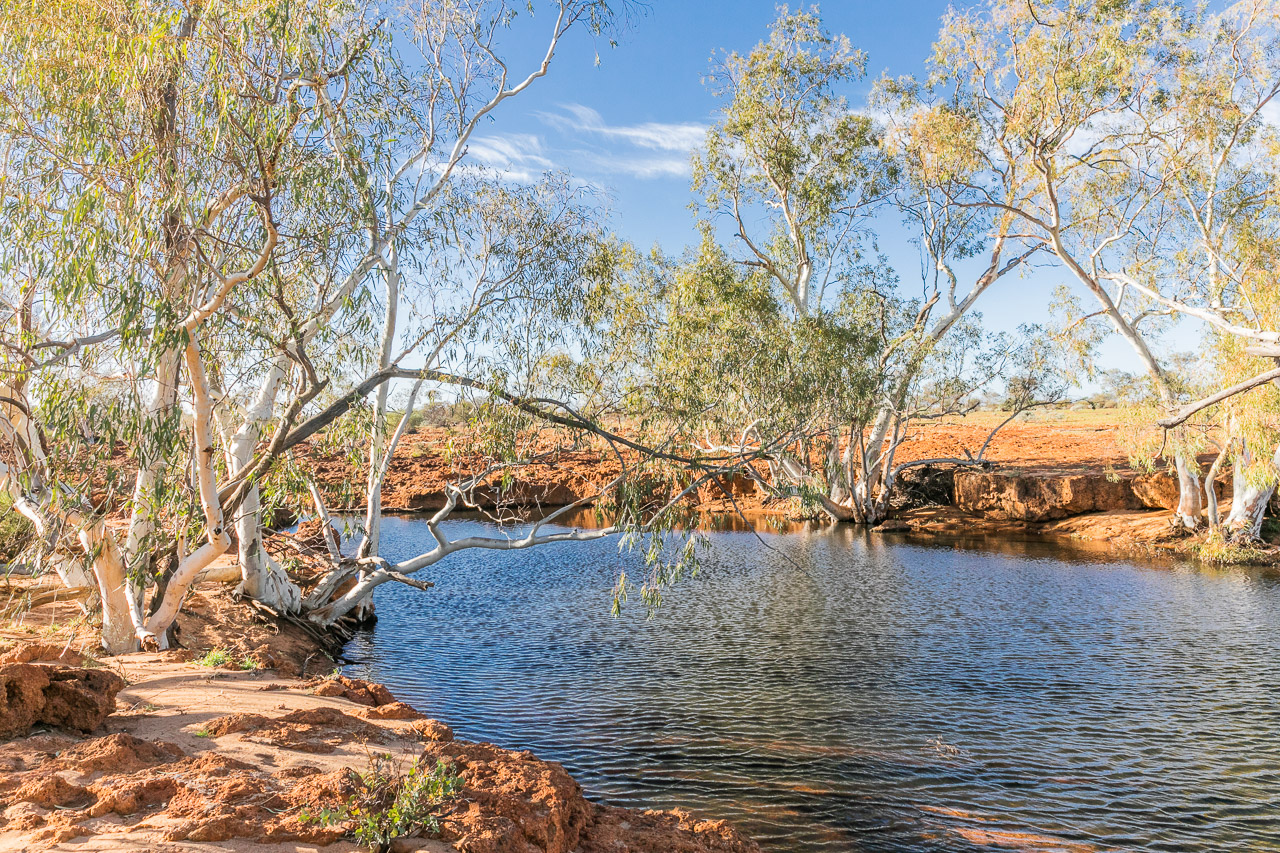 One of several waterholes for cooling off at Carey Downs Station