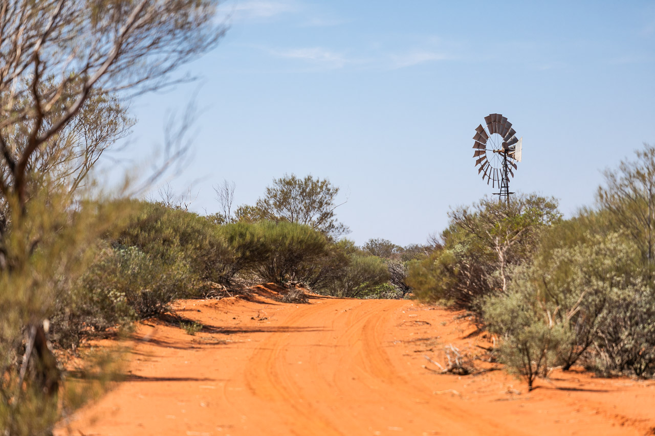 Red dirt tracks and a windmill at Carey Downs Station in outback Australia