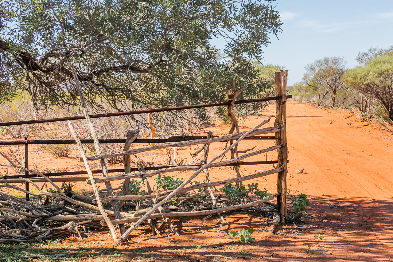 Old fences and gates at Carey Downs station have stood the test of time and the elements