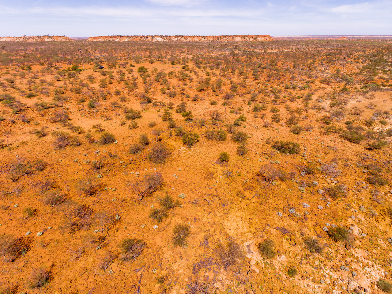 Drone image across the plains at Carey Downs Station, WA