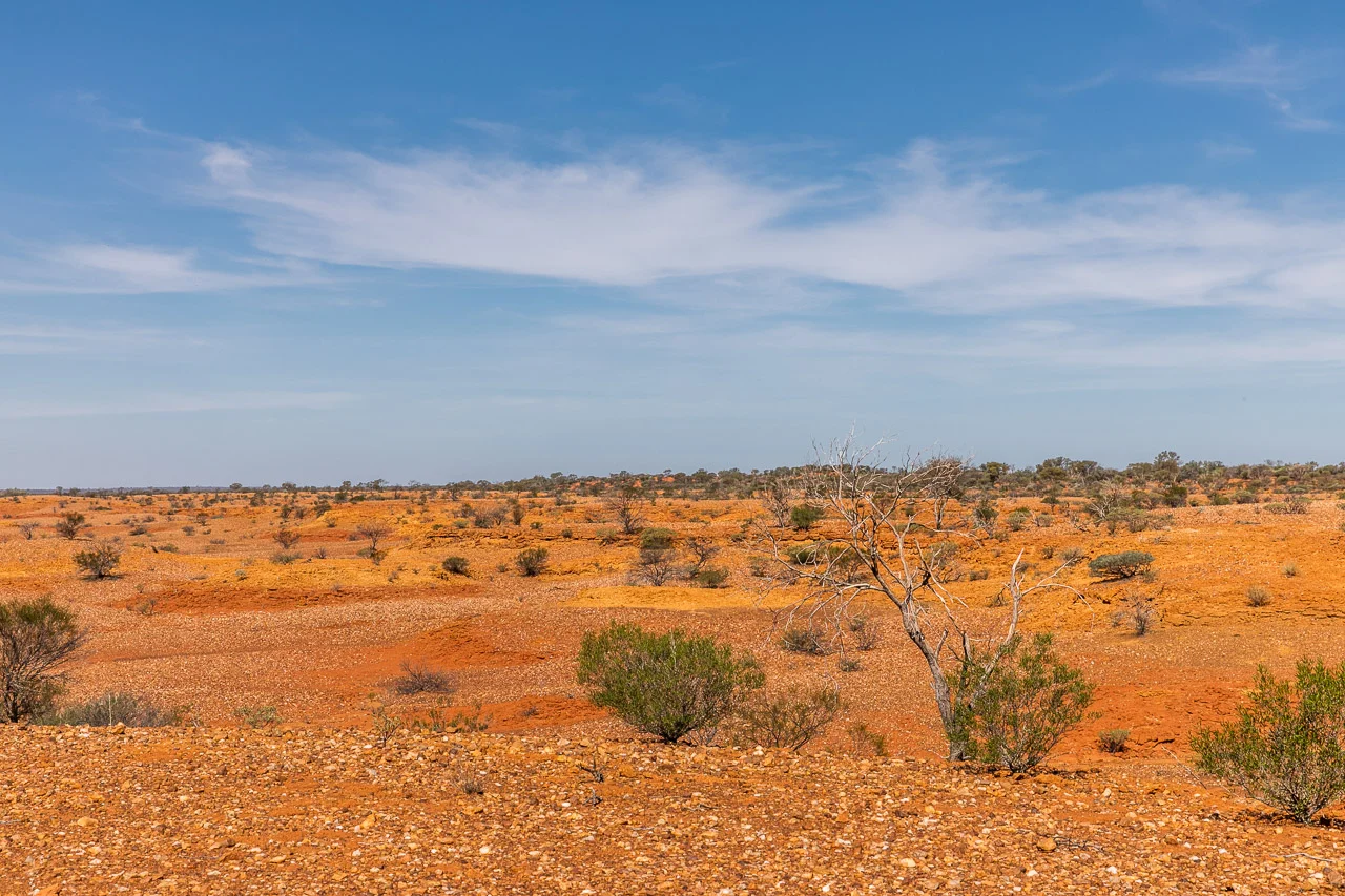 Various shades of red and orange at Carey Downs Station