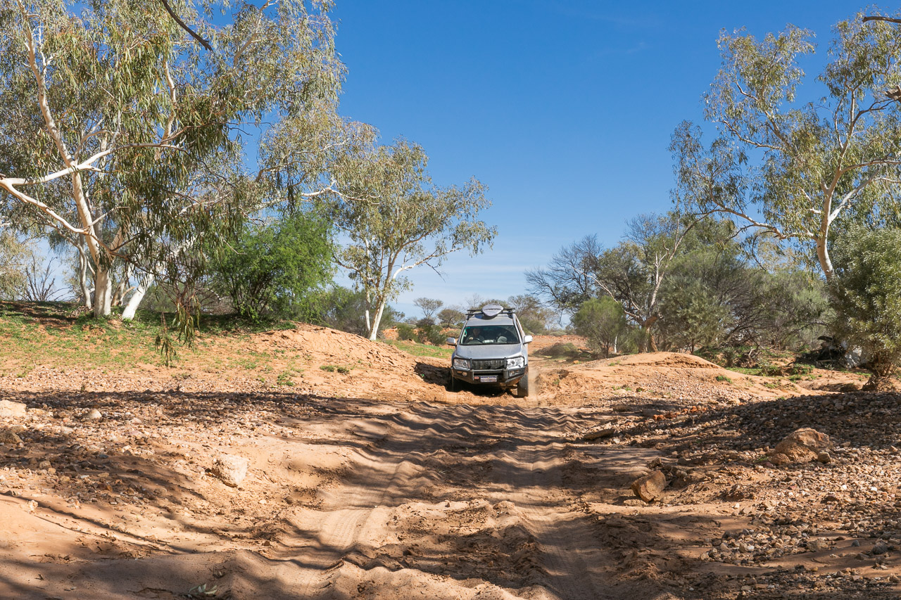 4-wheel driving at Carey Downs Station Stay in WA