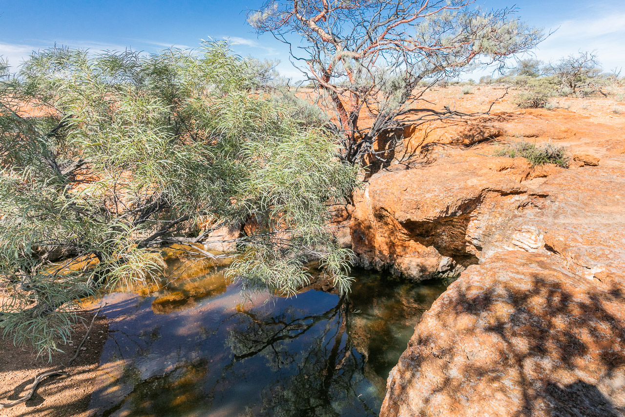 A waterhole at Carey Downs Station