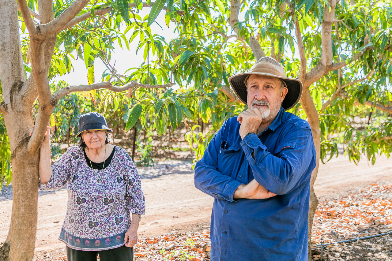 Zarka Skender and son Rick amongst their mango trees in Carnarvon
