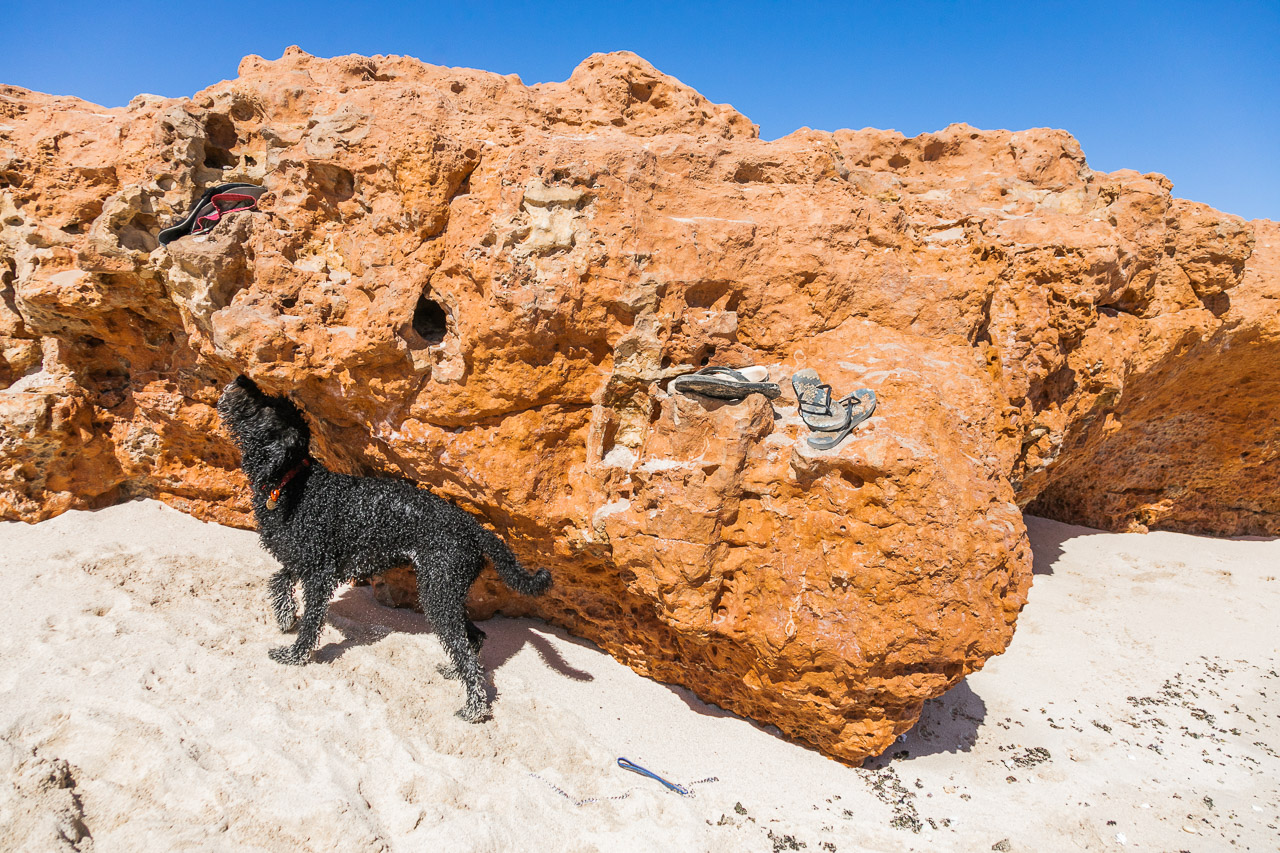 Gnaraloo-3-mile-surfing-23.jpg