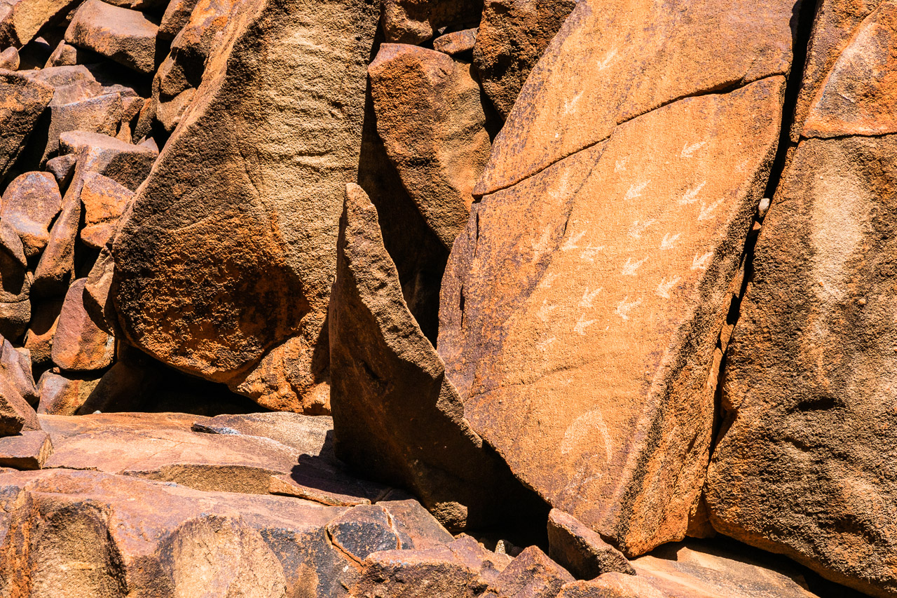 Aboriginal carvings at Deep Gorge