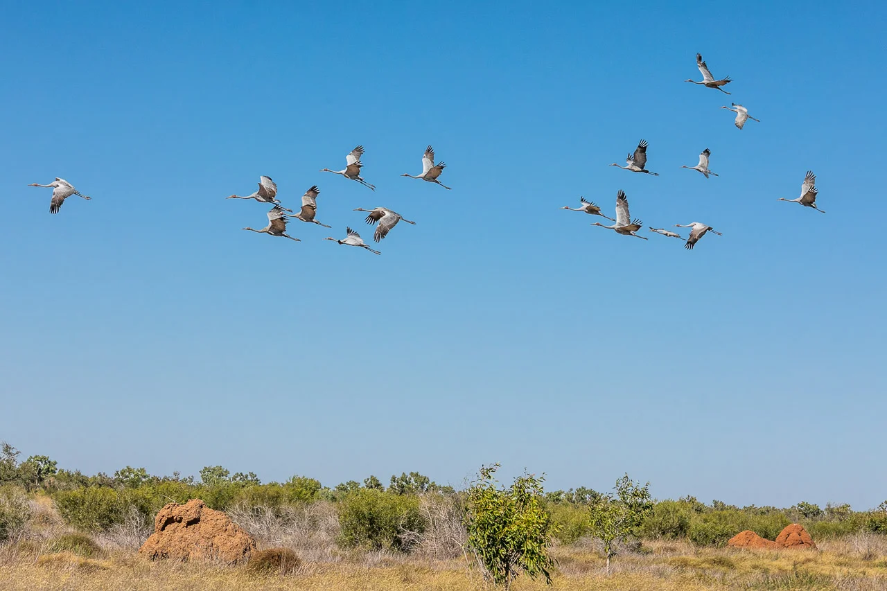 Port-Smith-Pilbara-coast-14.jpg