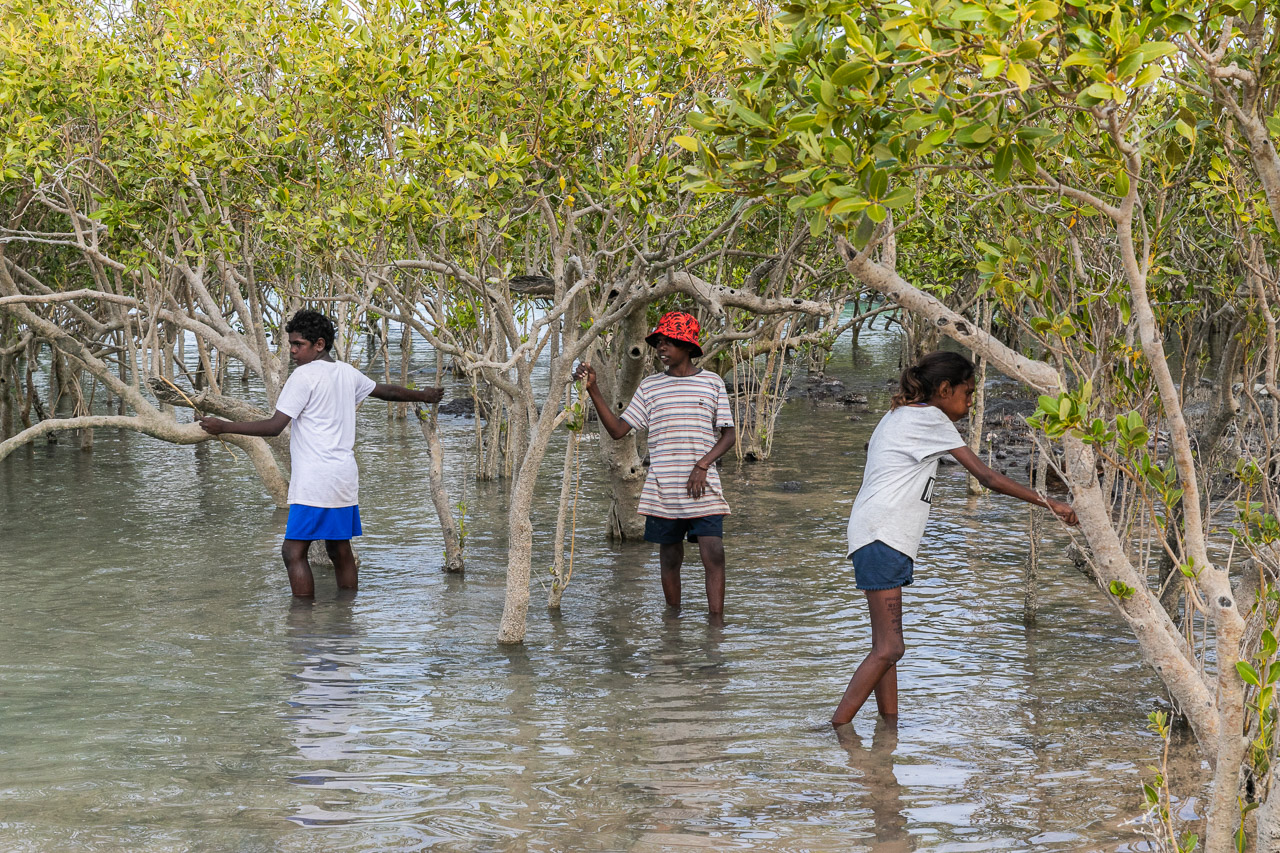 Indigenous kids looking for hermit crabs in the mangroves in Broome
