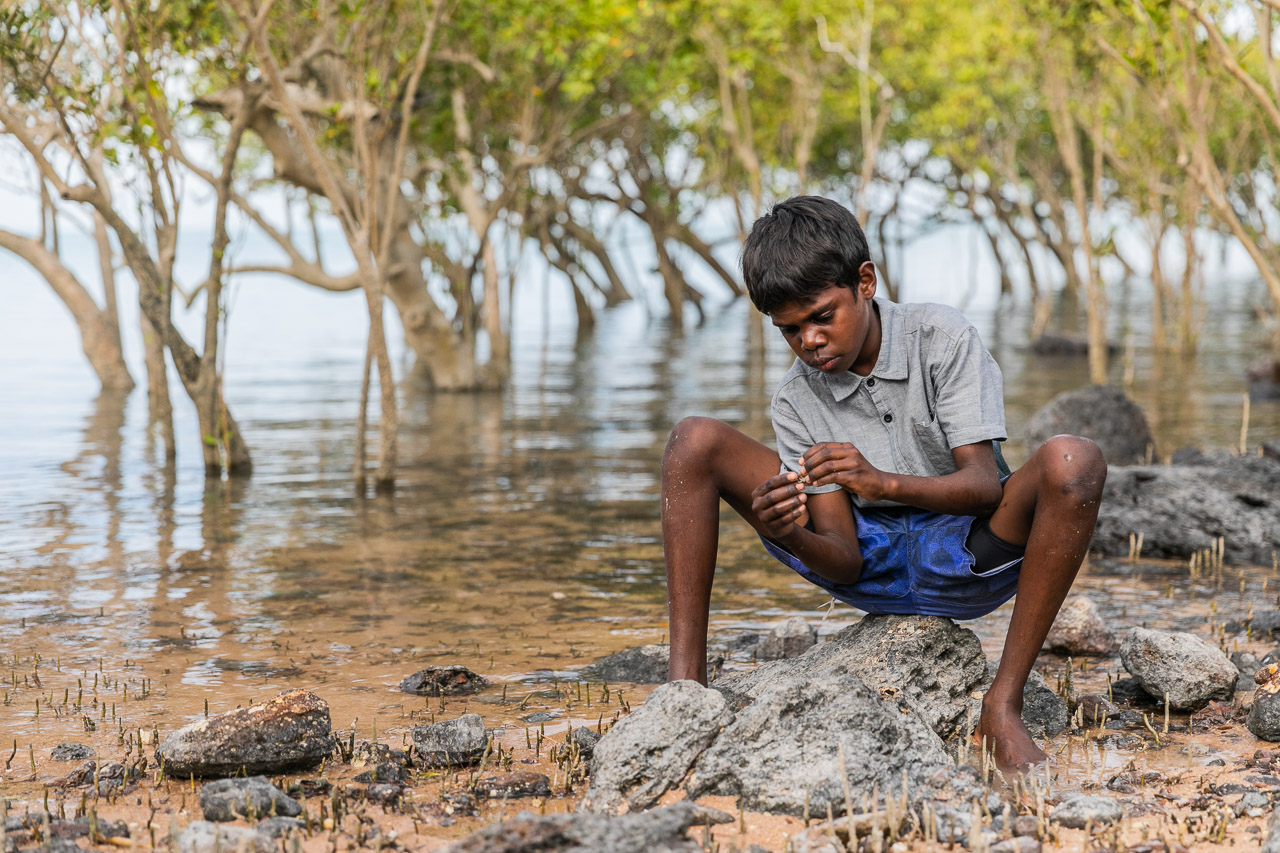 Broome Indigenous boy extracting a hermit crab from its shell in the mangroves