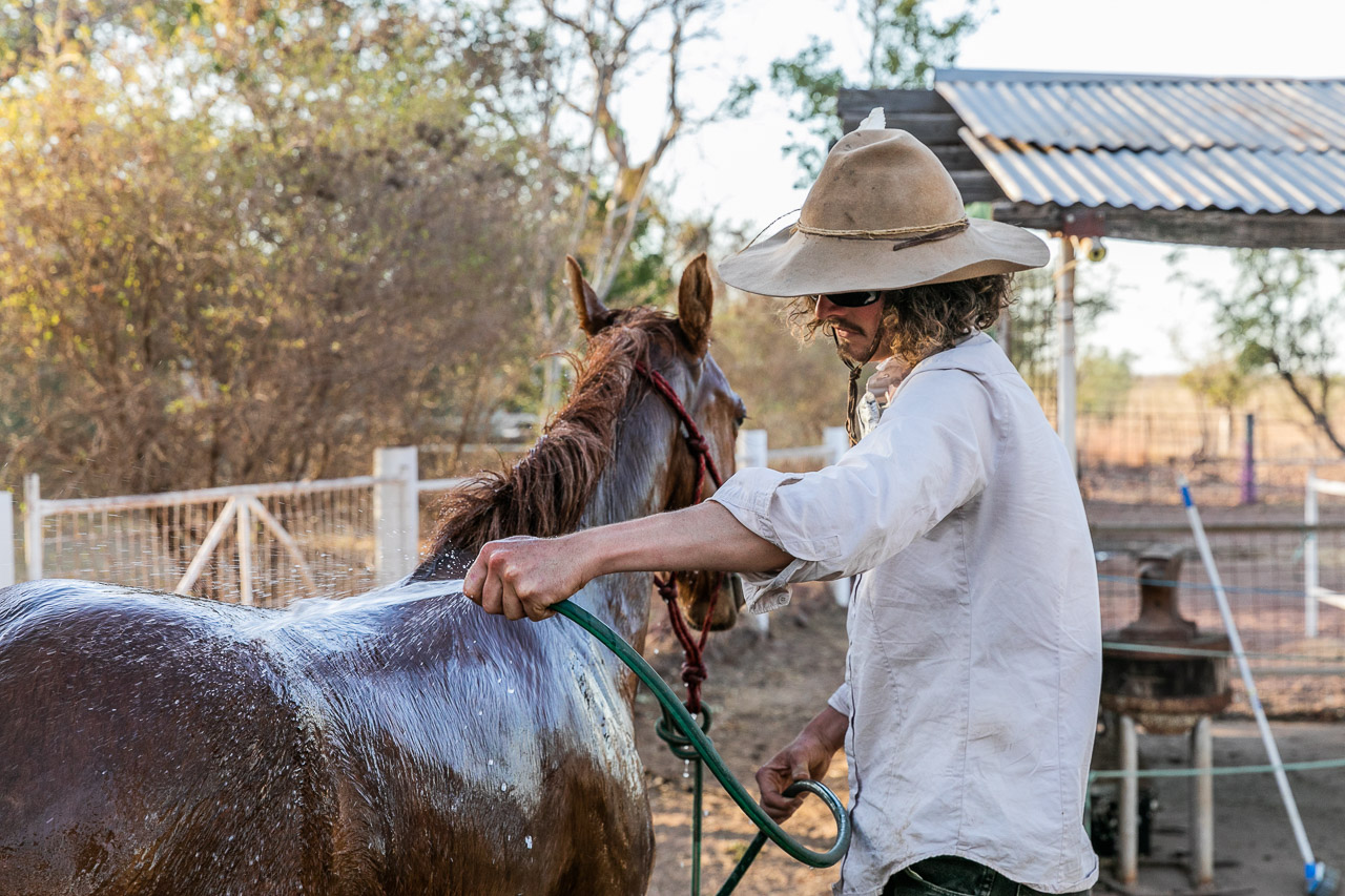 Washing the dust off the horses at Diggers Rest Station in WA's Kimberley