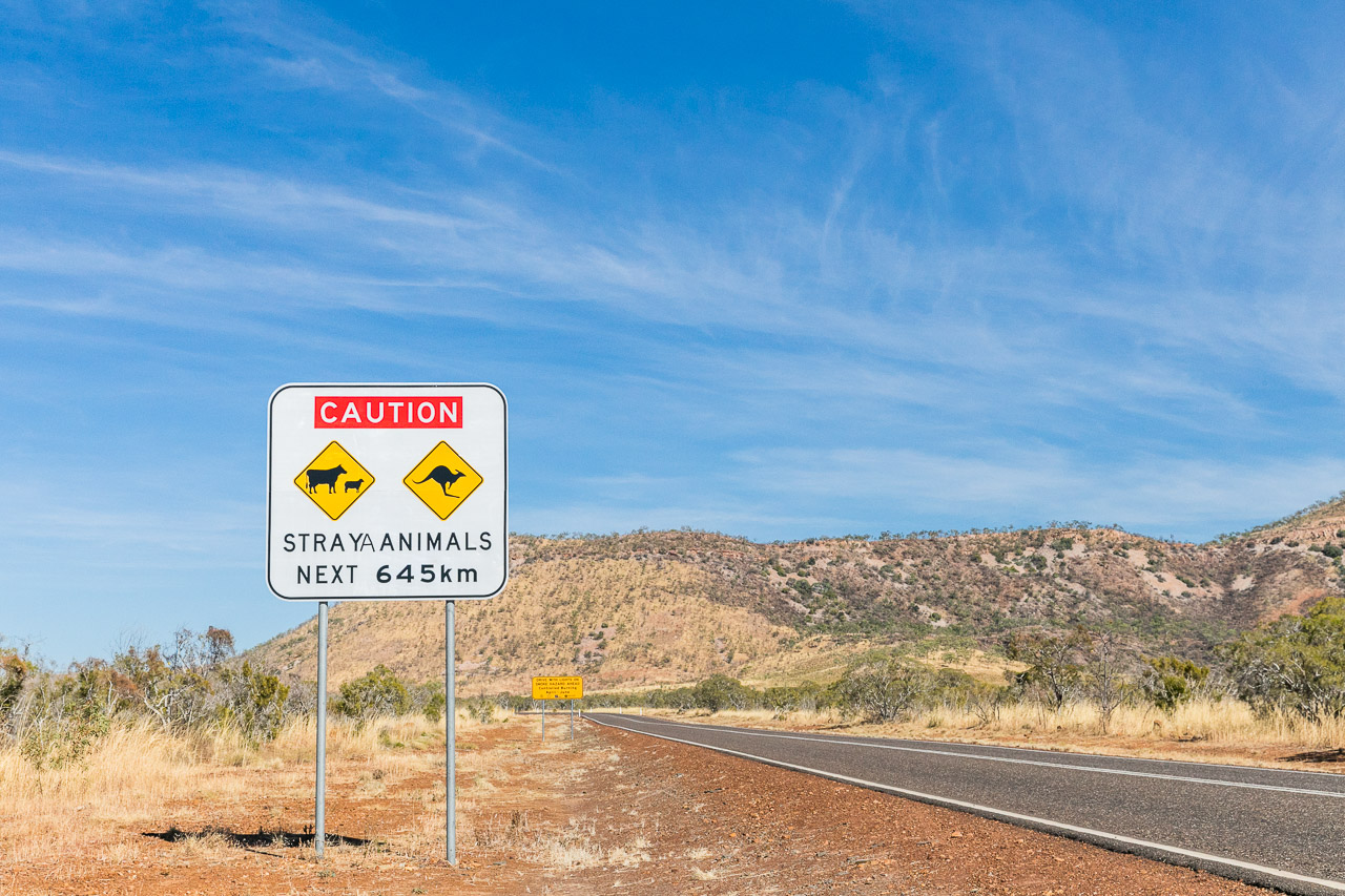 Stray animals sign on the Gibb River Road