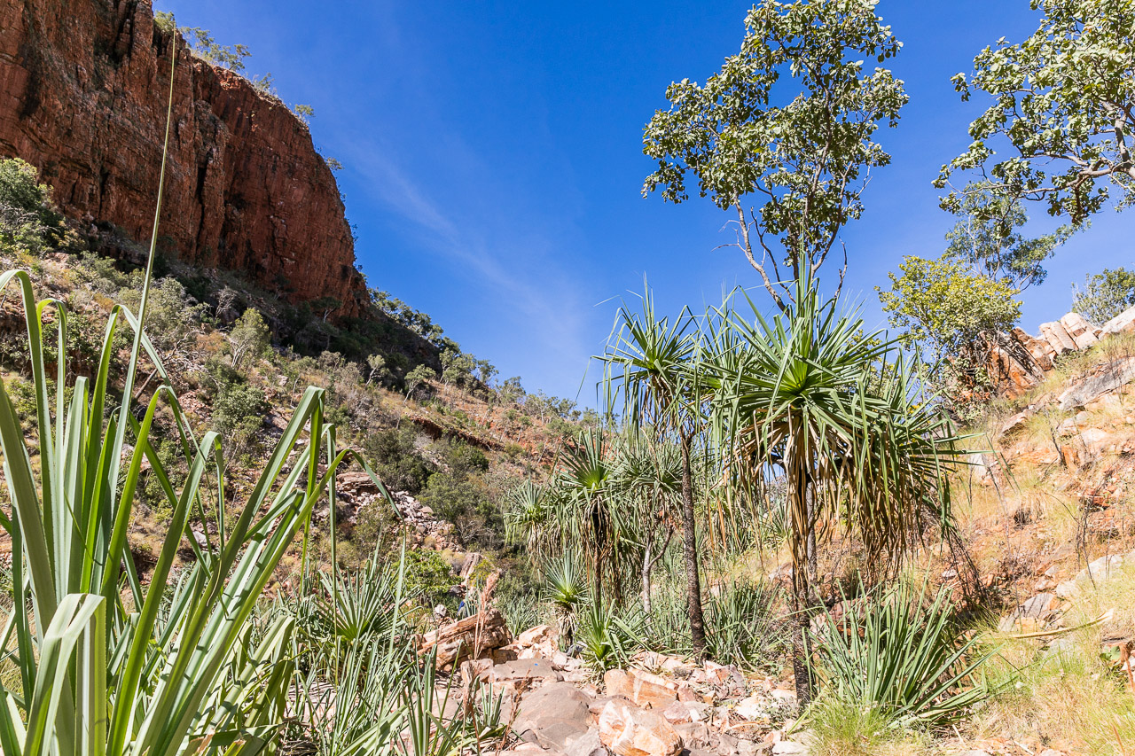 The scenic walk through a gorge on El Questro Station in the Kimberley, WA