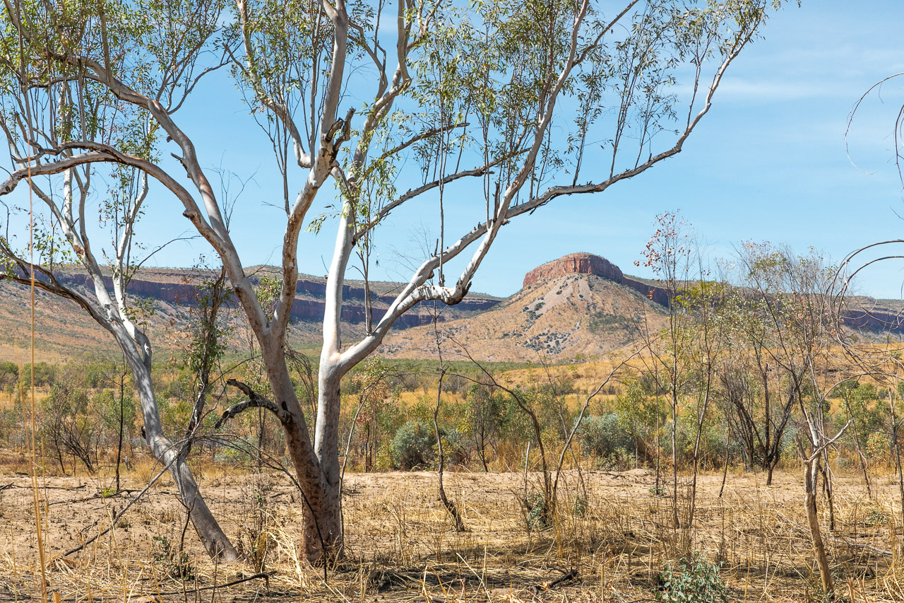 View to the ranges on the Gibb River Road near Home Valley Station