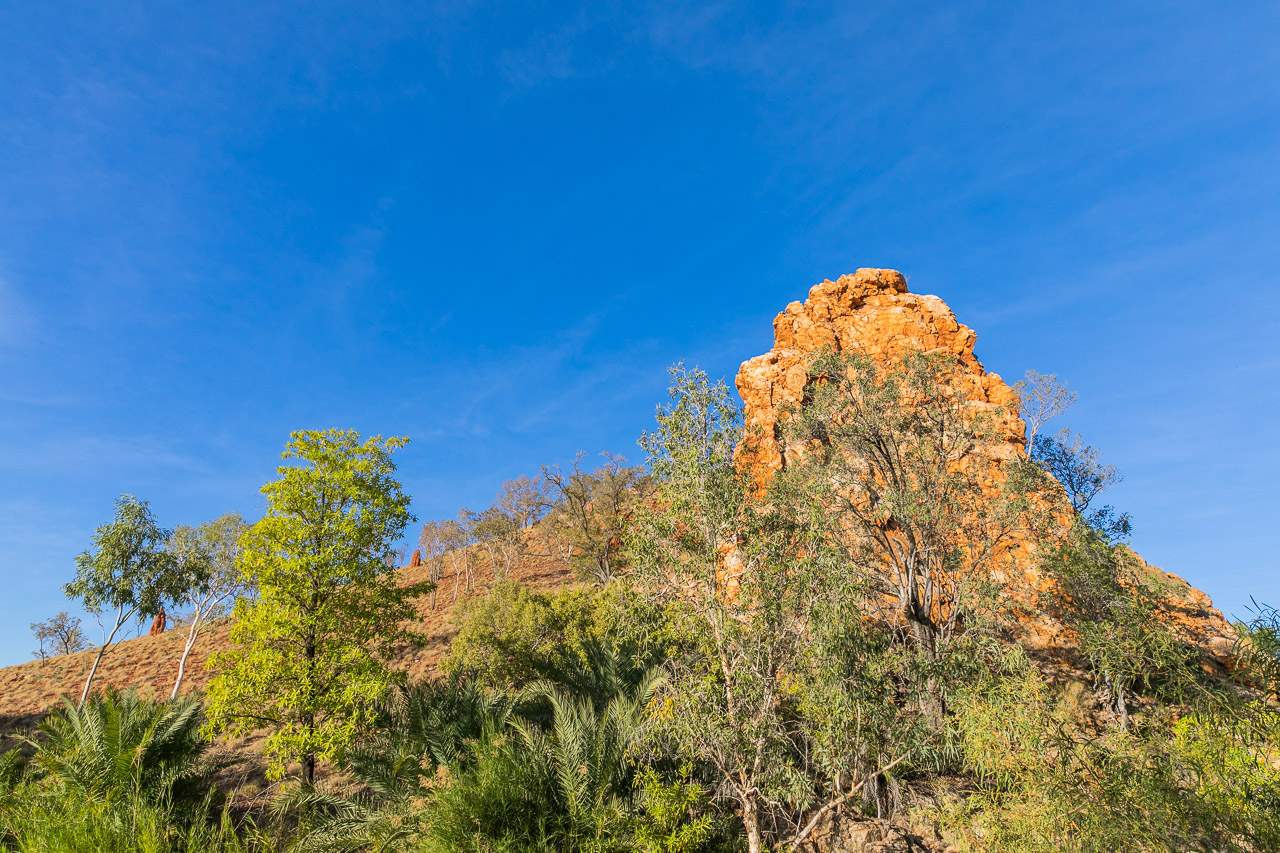 Palm Spring is a beautiful camping spot south of Halls Creek