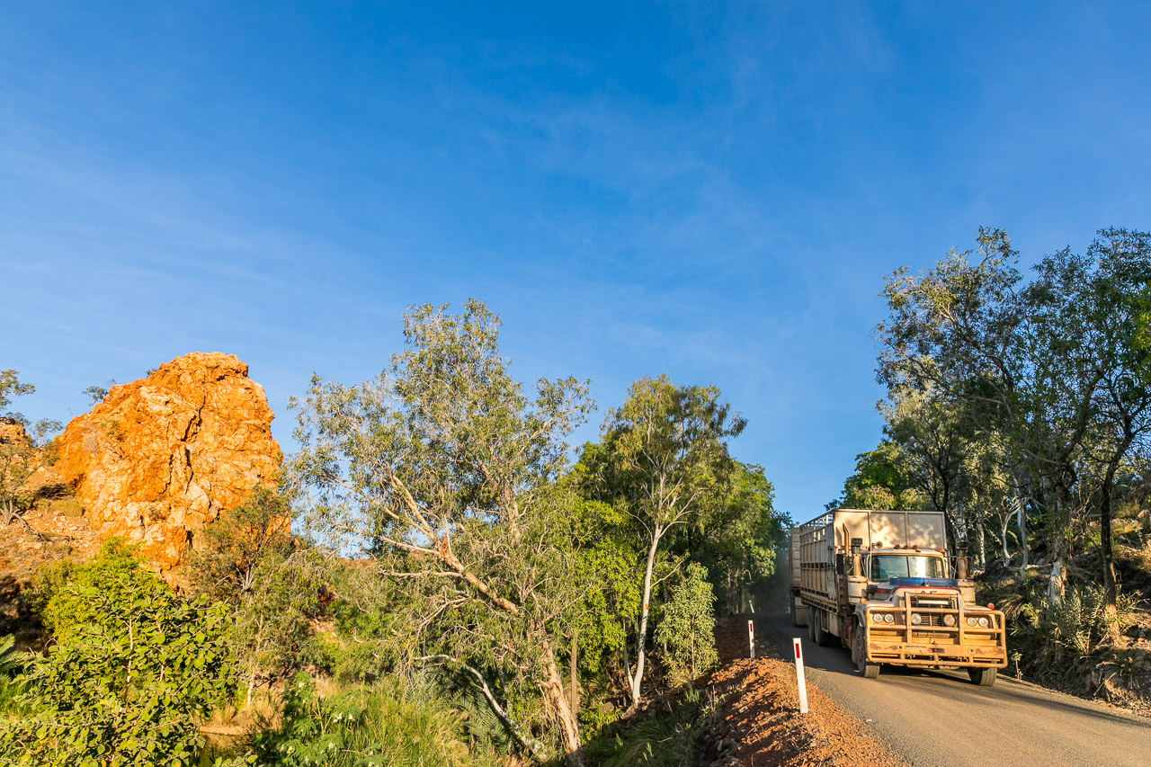 Road train passing Palm Spring on Duncan Road, near Halls Creek in Western Australia