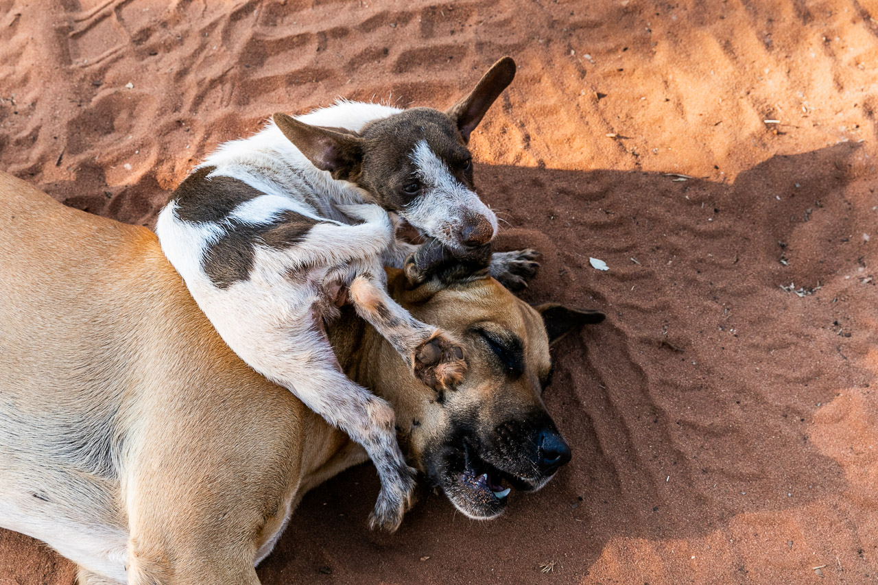 Smithys-Broome-WA-03.jpg