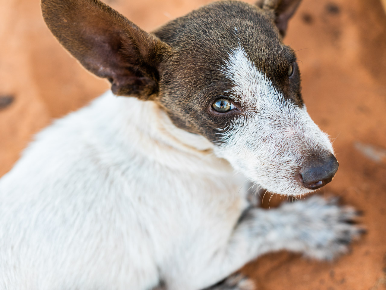 Smithys-Broome-WA-14.jpg