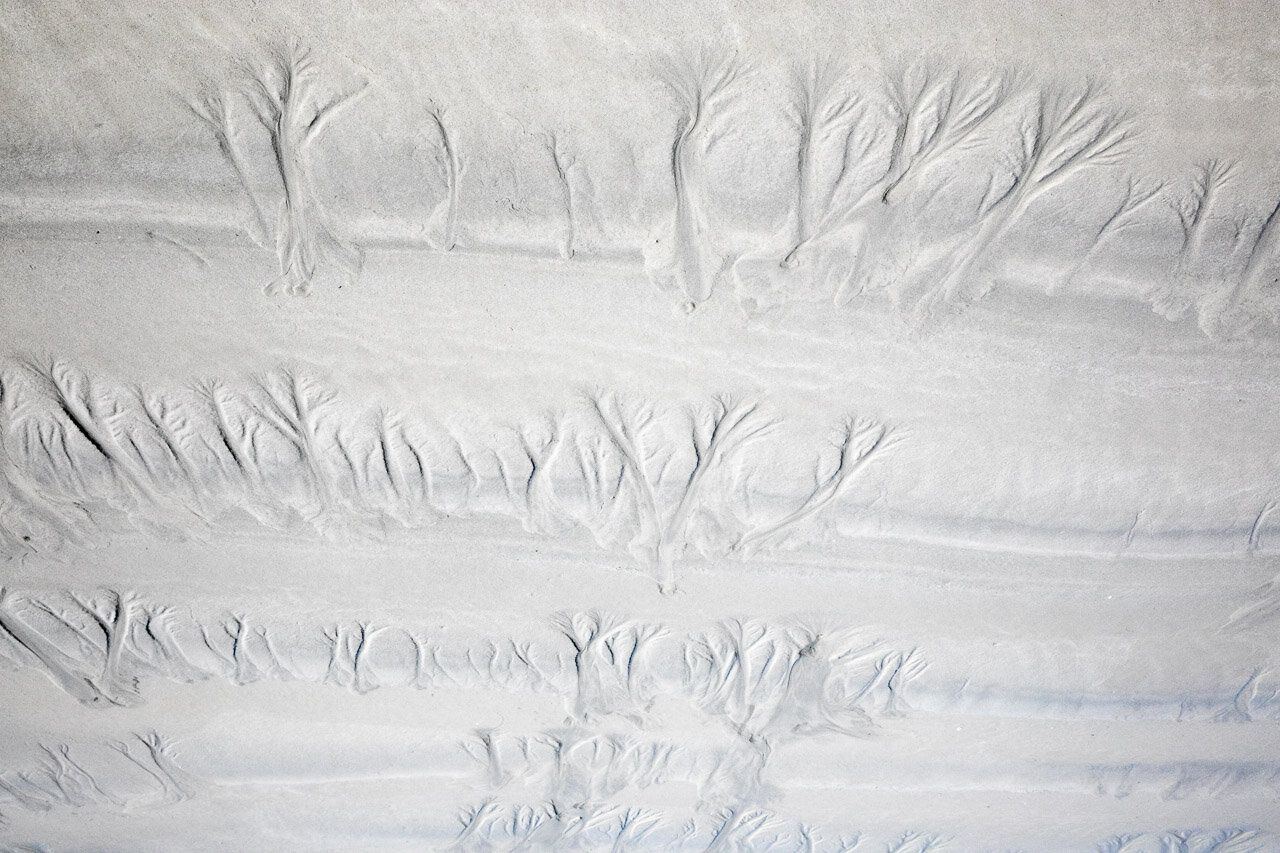 Forest patterns created by the outgoing tide at Cable Beach in Broome, Western Australia