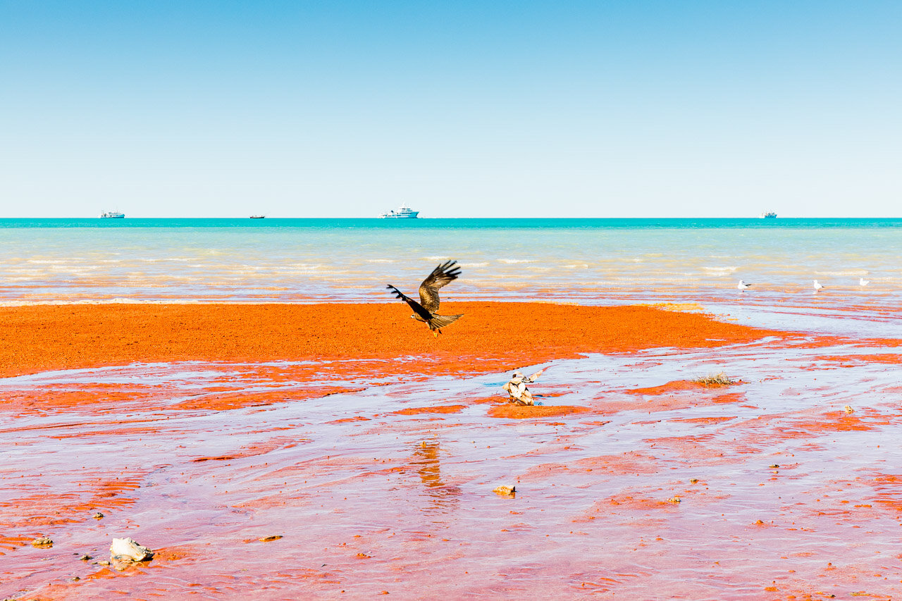 The incredible colours of Demco Beach in Broome have to be seen to be believed