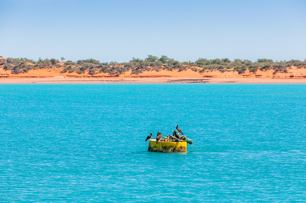 The colours of Broome have to be seen to be believed