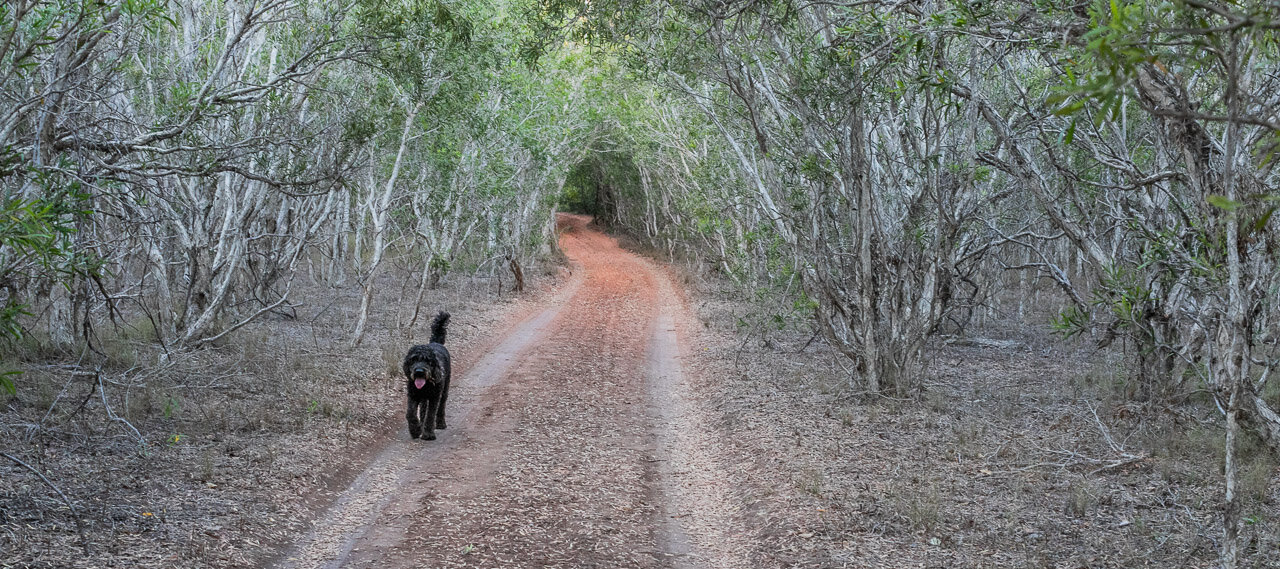 Broome-WA-Nic-Duncan-065.jpg