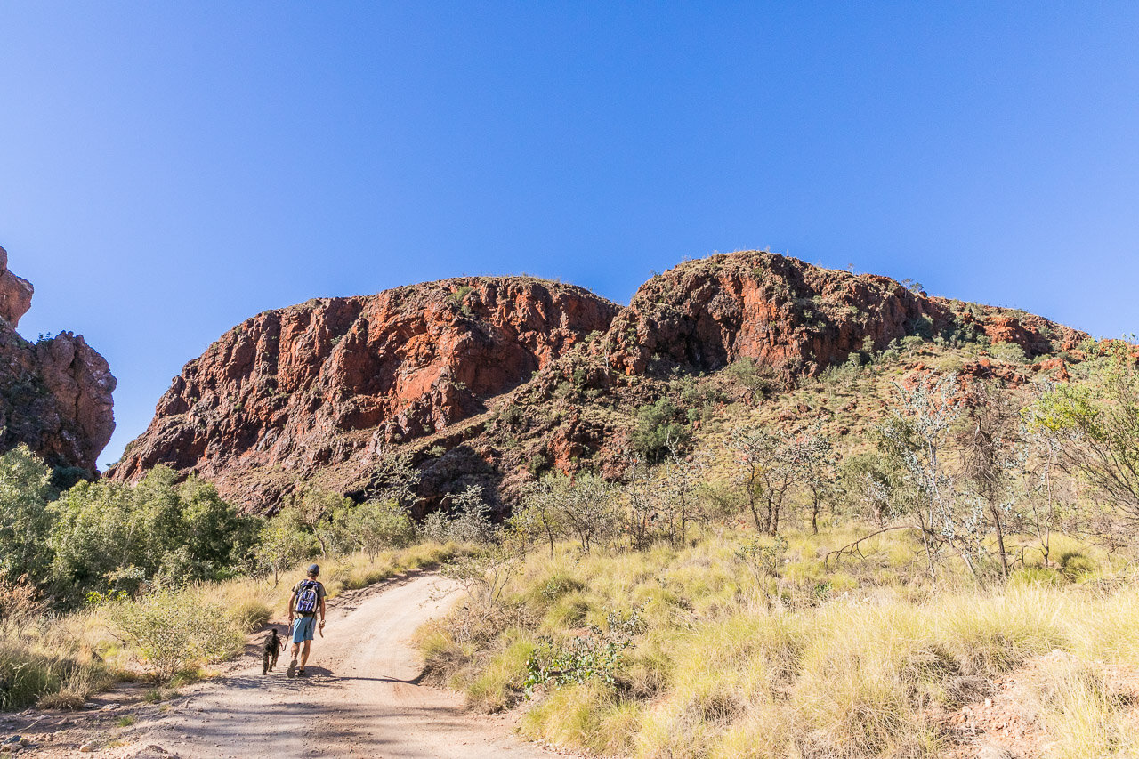 The track to Coppin Gap is long and winding but worth the effort