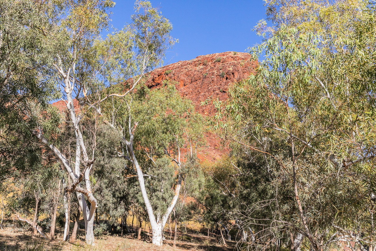 There's some beautiful little camp spots at Coppin Gap, north of Marble Bar, WZ