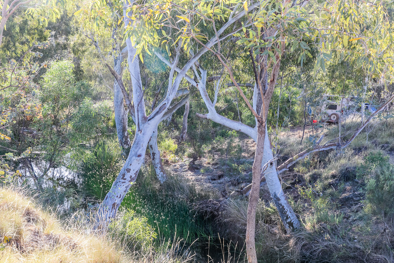 A permanent waterhole near Coppin Gap in the Pilbara 