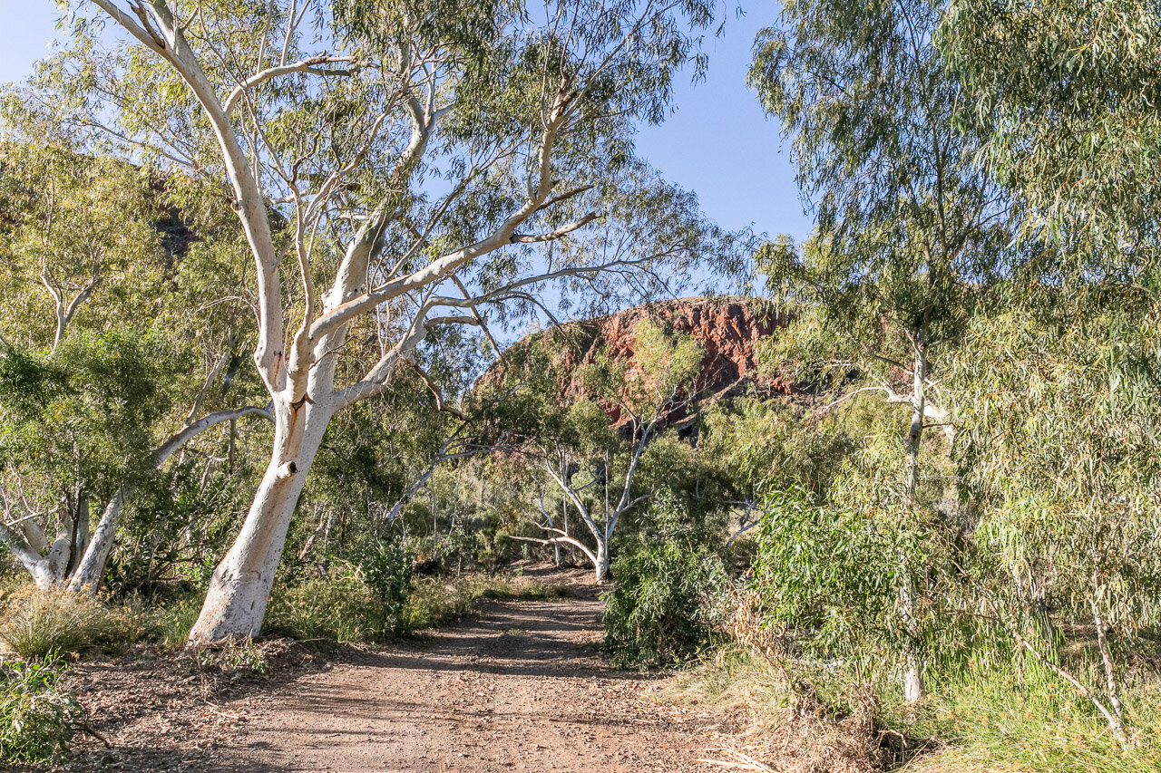 The track to Coppin Gap near Marble Bar.