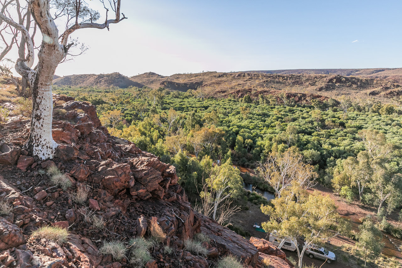 View across trees from a rocky outcrop near Newman in the Pilbara