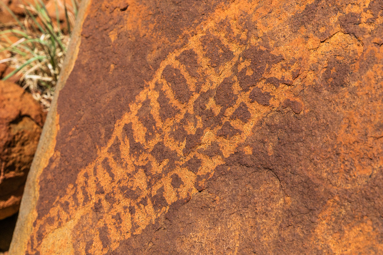 Aboriginal petroglyphs found near Newman, etched into the red rocks